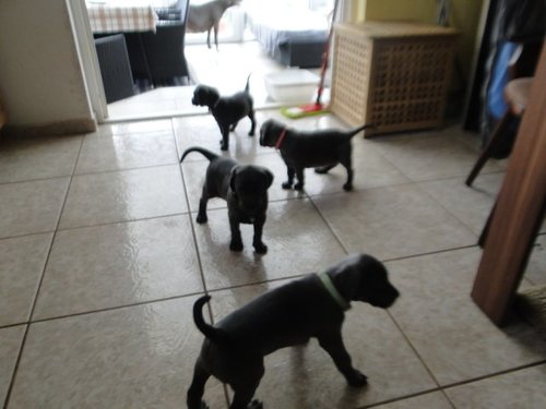 Ausflug in die Küche....