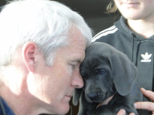 Tierarzt war am Sonntag da und hat die Welpen gechipt,alle waren sehr brav