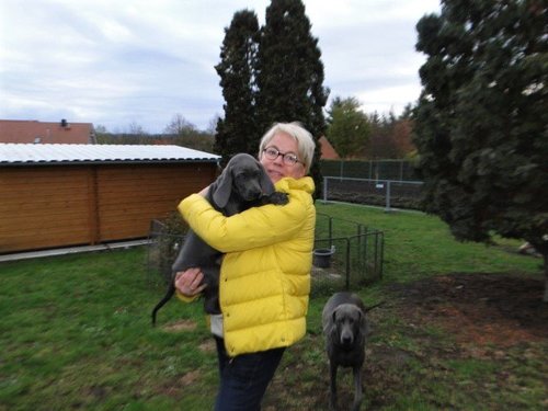 Heinrich vom Hainich