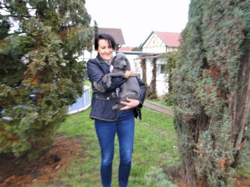 Herzog-Hugo vom Hainich