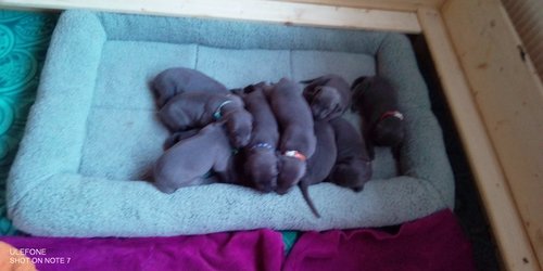 jetzt sind sie 15 Tage alt