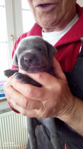 alle können schon sehen