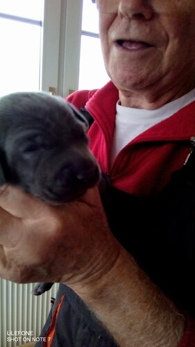 alle können schon sehen