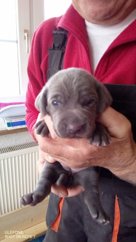 alle können schon sehen