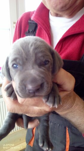 alle können schon sehen