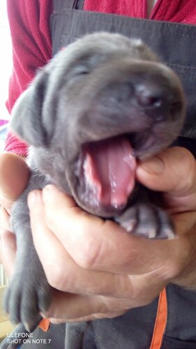 alle können schon sehen