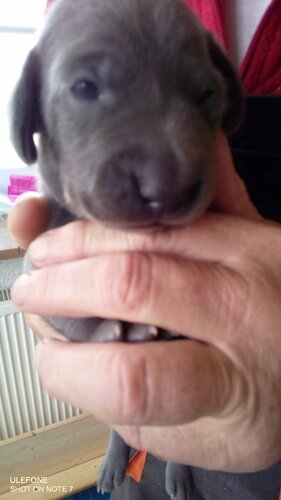 alle können schon sehen