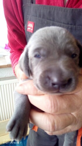 alle können schon sehen