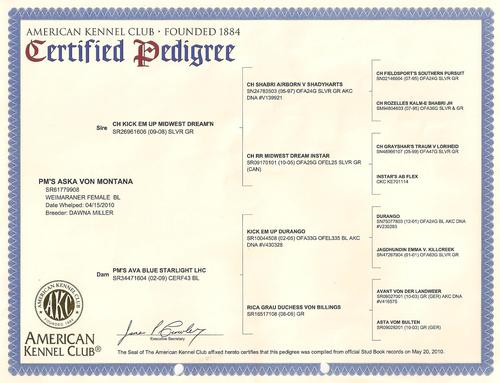 Zuchtpapiere Zuchtpapiere