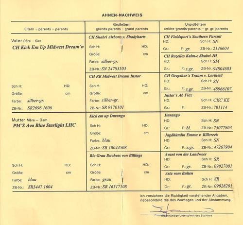 Ahnentafel Ahnentafel